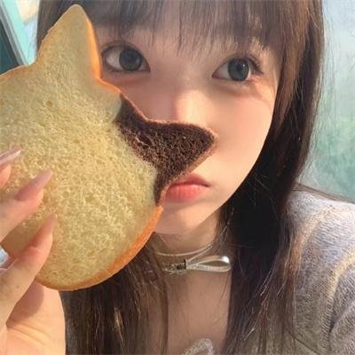 纸钞屋第四季