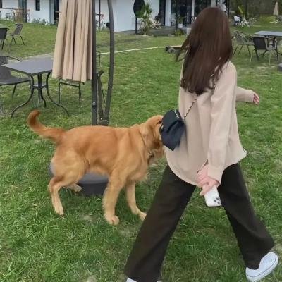 叫春猫