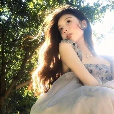 丑闻笔记